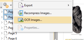 OCR Multiple Selected Images via the Context Menu
