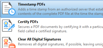 Timestamp Documents